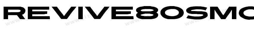 Revive80SmoothSigna字体转换