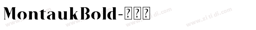 MontaukBold字体转换