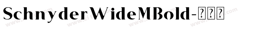 SchnyderWideMBold字体转换