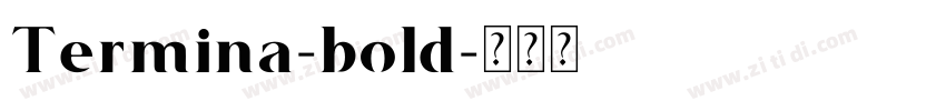 Termina-bold字体转换
