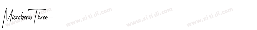 MicroberwThree字体转换