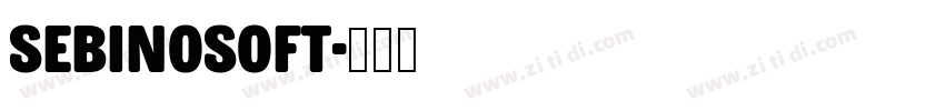 SebinoSoft字体转换