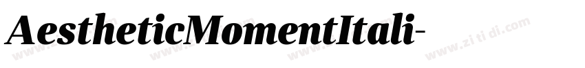 AestheticMomentItali字体转换