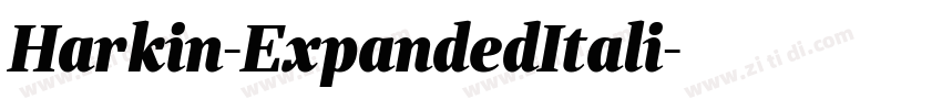 Harkin-ExpandedItali字体转换