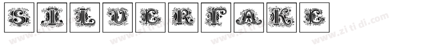 silverfake字体转换