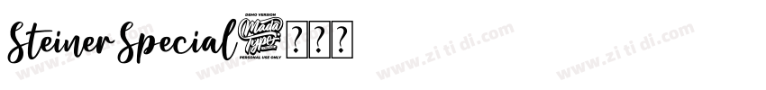 SteinerSpecial字体转换