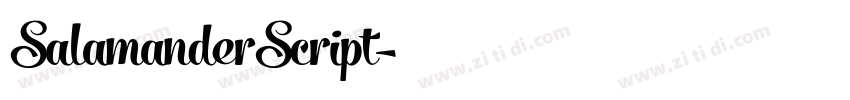 SalamanderScript字体转换