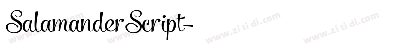 SalamanderScript字体转换