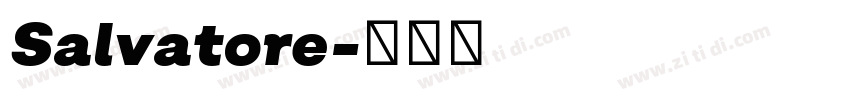 Salvatore字体转换