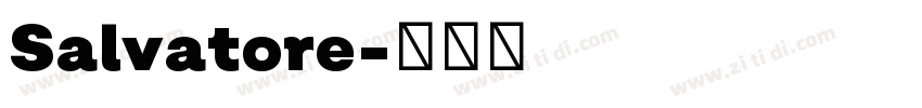 Salvatore字体转换