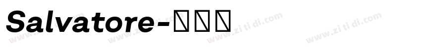 Salvatore字体转换
