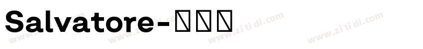 Salvatore字体转换