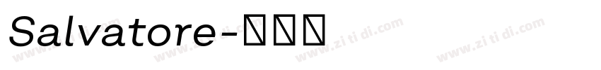 Salvatore字体转换