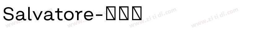 Salvatore字体转换