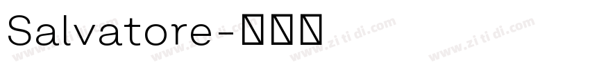 Salvatore字体转换