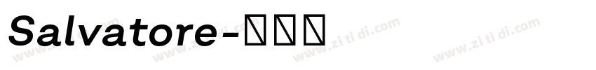 Salvatore字体转换