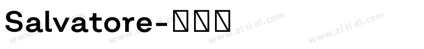 Salvatore字体转换