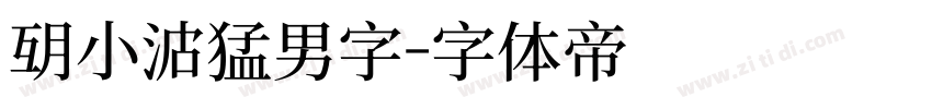 胡小波猛男字字体转换