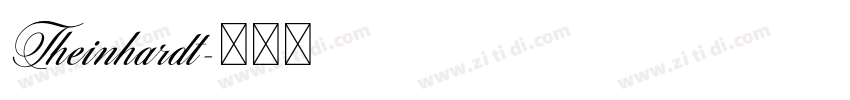 Theinhardt字体转换