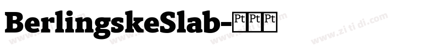 BerlingskeSlab字体转换