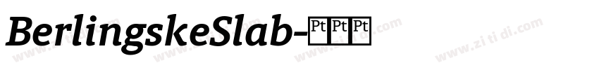 BerlingskeSlab字体转换