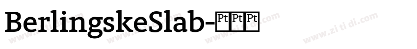BerlingskeSlab字体转换
