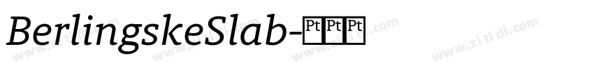 BerlingskeSlab字体转换