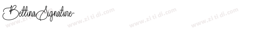 BettinaSignature字体转换