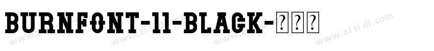 burnfont-11-Black字体转换