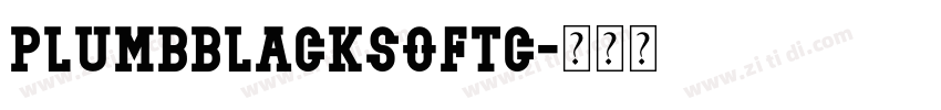 PlumbBlackSoftC字体转换