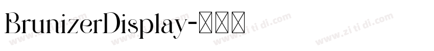 BrunizerDisplay字体转换