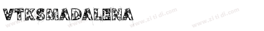 VtksMadalena字体转换