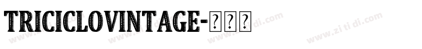 TricicloVintage字体转换