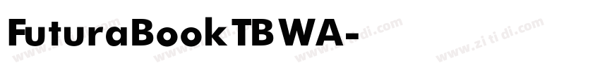 FuturaBookTBWA字体转换