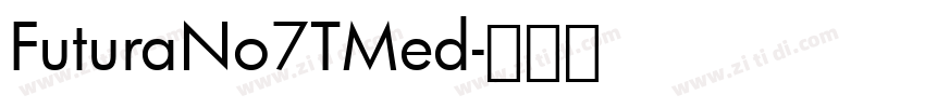 FuturaNo7TMed字体转换
