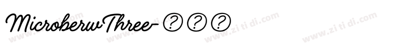MicroberwThree字体转换