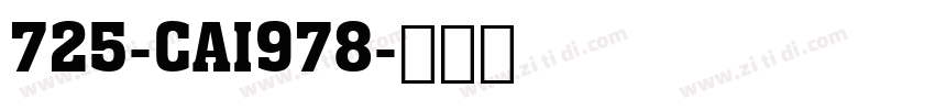 725-CAI978字体转换