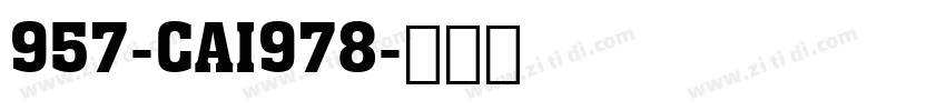 957-CAI978字体转换