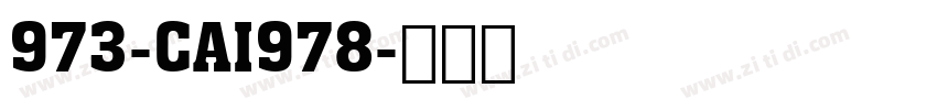 973-CAI978字体转换