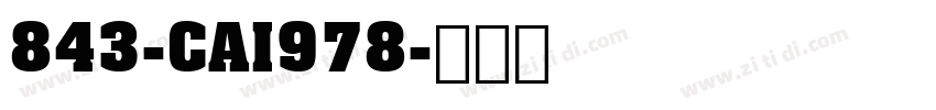843-CAI978字体转换