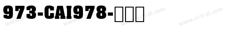 973-CAI978字体转换