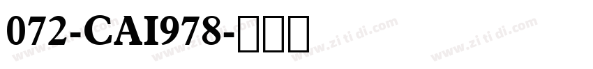 072-CAI978字体转换