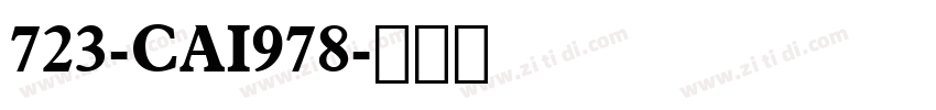 723-CAI978字体转换