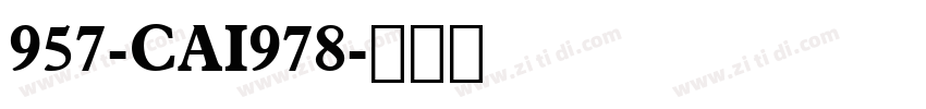 957-CAI978字体转换