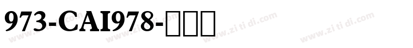 973-CAI978字体转换