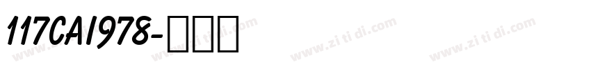 117CAI978字体转换