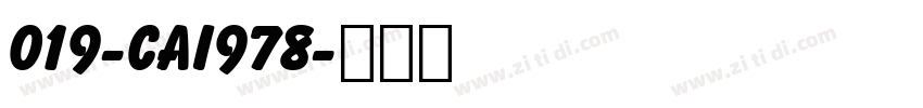 019-CAI978字体转换