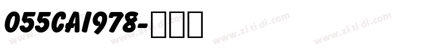 055CAI978字体转换