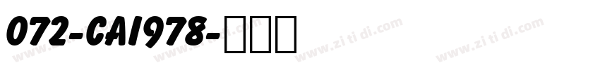 072-CAI978字体转换