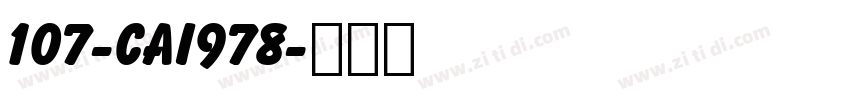 107-CAI978字体转换